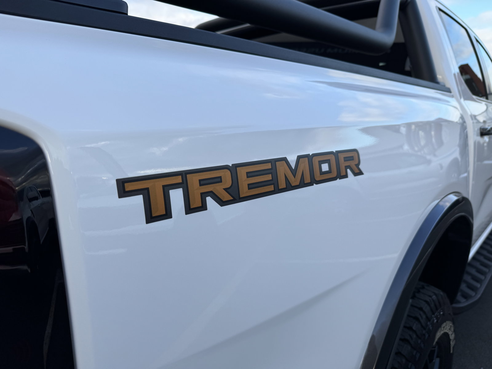 2024 Ford Ranger Tremor 2.0D/4Wd/10At 