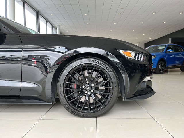 2015 Ford Mustang 5.0L Fastback At 5.0