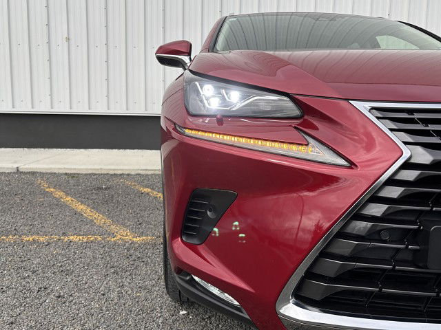2019 Lexus NX 300 Limited 4WD